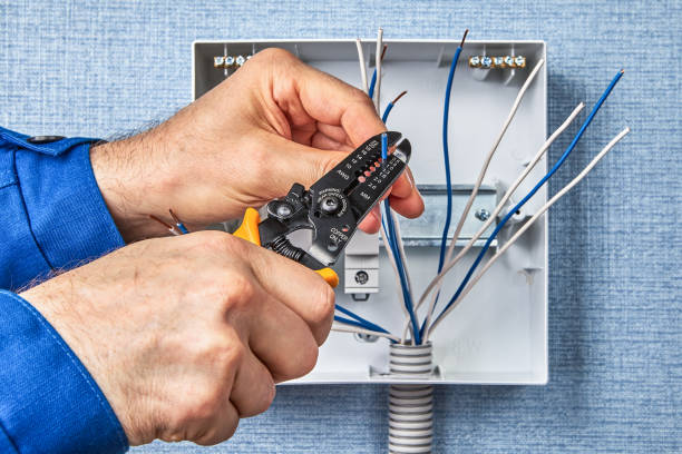 Best Surge Protection Installation  in Argentine, MI